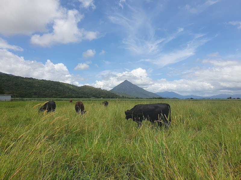 Greenwood's Butchers photo 2