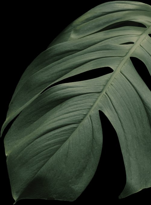 BUB & SOOL Korean Restaurant in Darwin photo 6