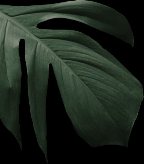 BUB & SOOL Korean Restaurant in Darwin