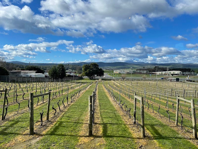 Timbre Kitchen photo 6