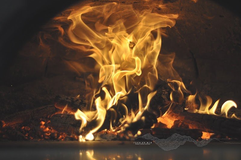 Timbre Kitchen photo 5